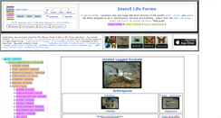 Desktop Screenshot of insectlifeforms.com